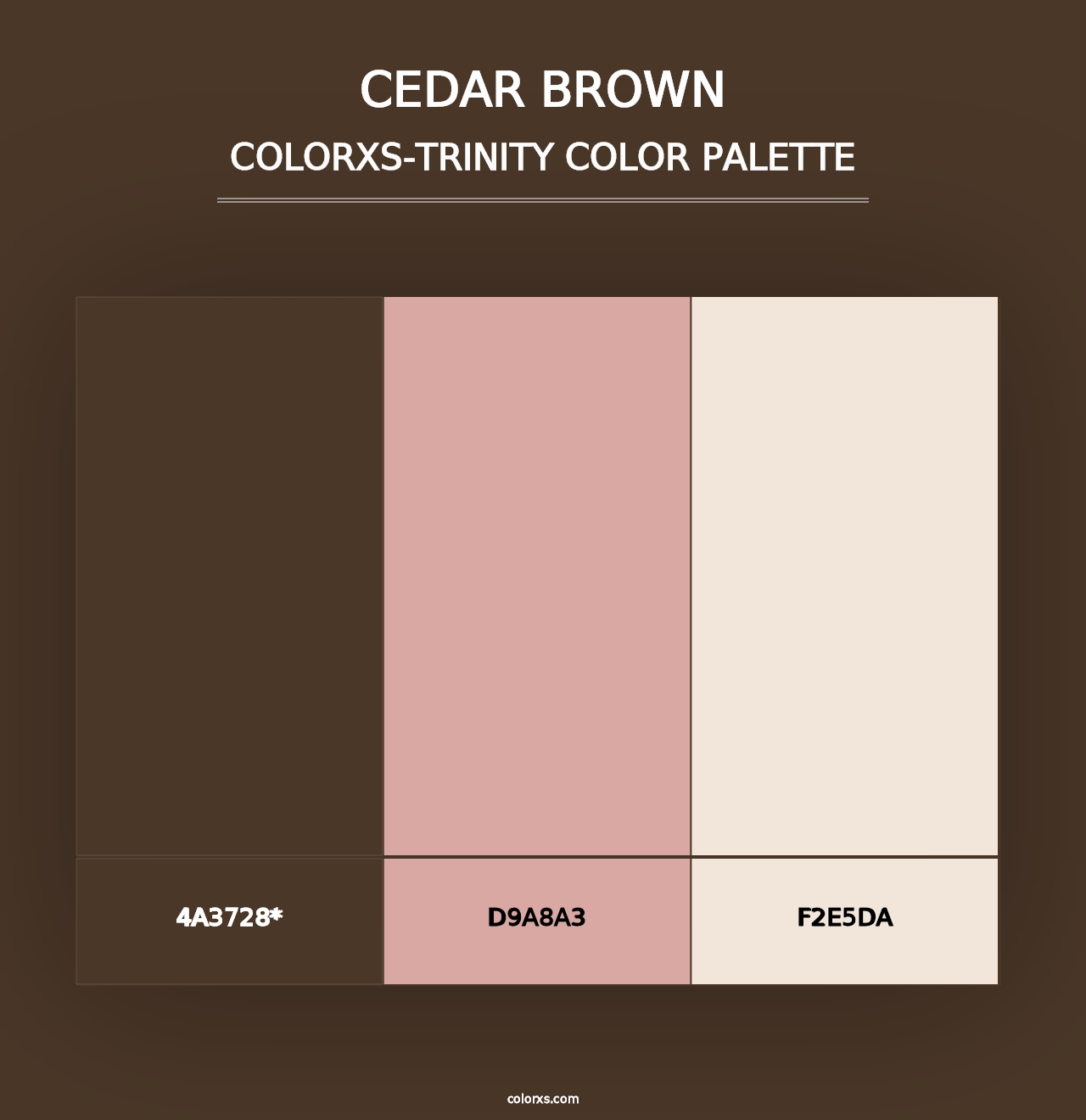 Cedar Brown - Colorxs Trinity Palette