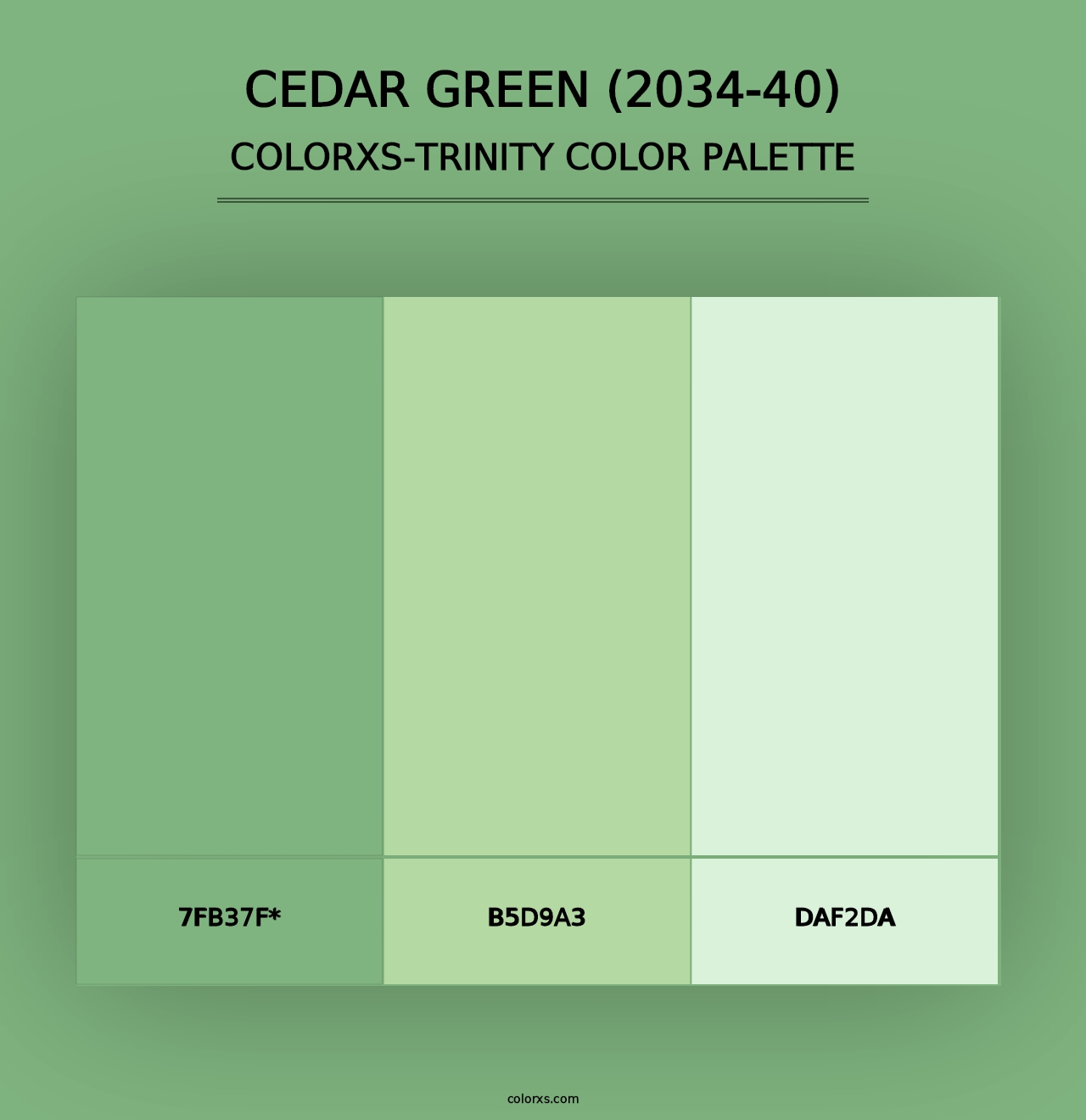 Cedar Green (2034-40) - Colorxs Trinity Palette