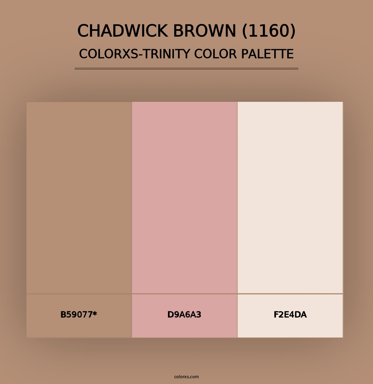 Chadwick Brown (1160) - Colorxs Trinity Palette