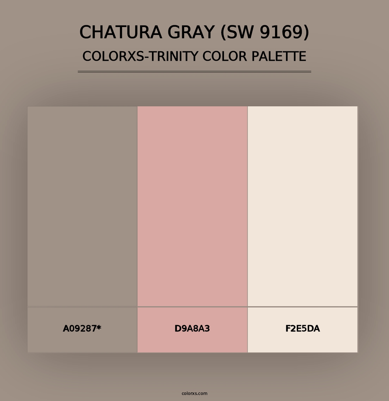 Chatura Gray (SW 9169) - Colorxs Trinity Palette