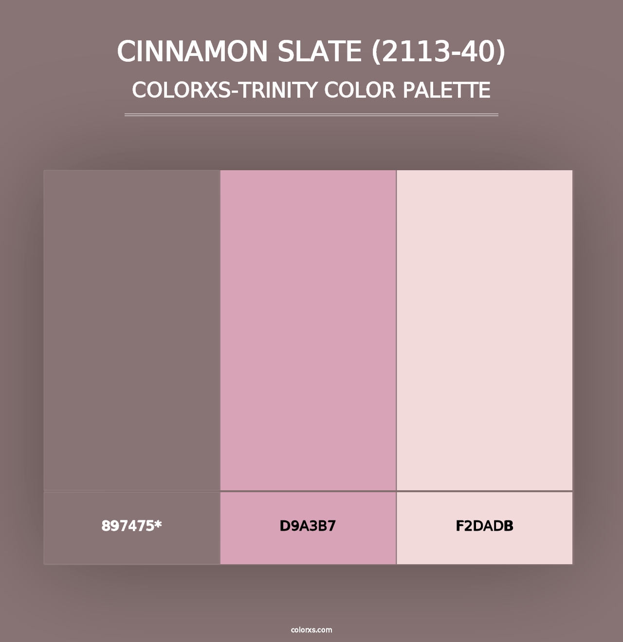 Cinnamon Slate (2113-40) - Colorxs Trinity Palette