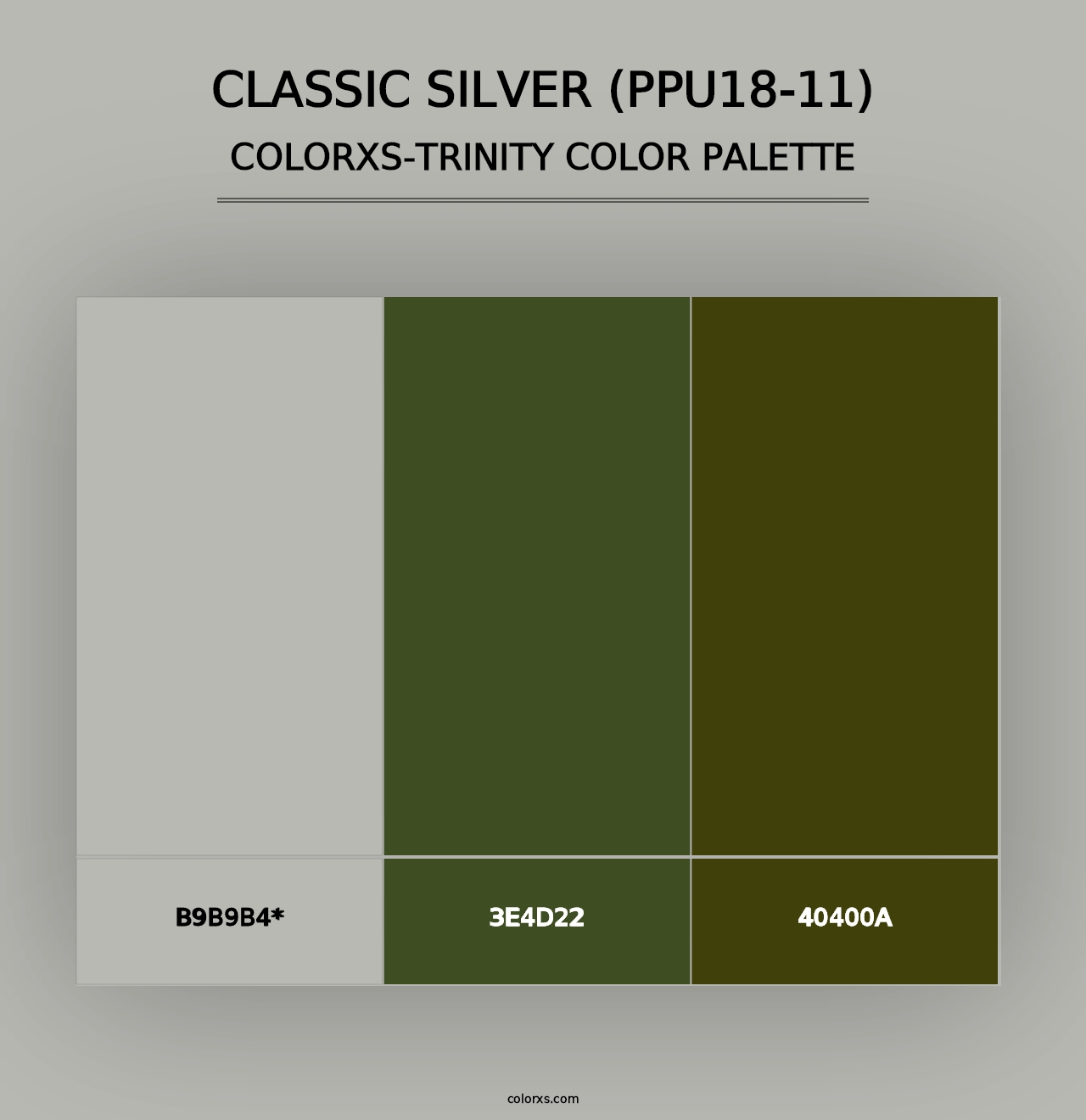 Classic Silver (PPU18-11) - Colorxs Trinity Palette