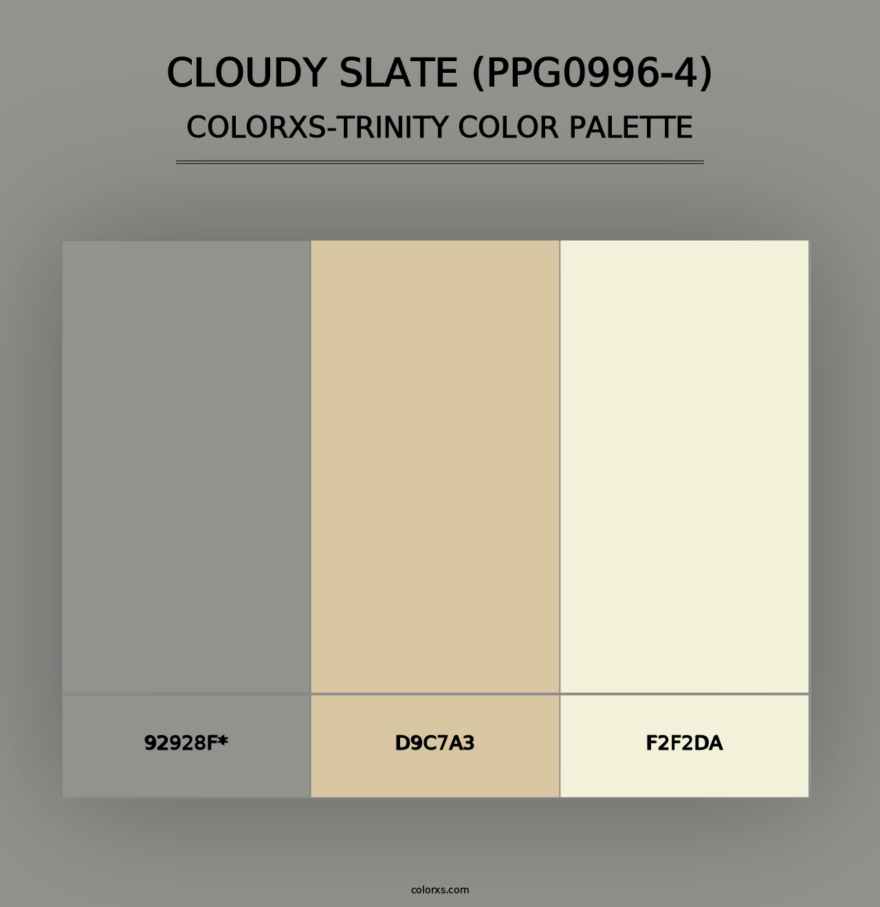 Cloudy Slate (PPG0996-4) - Colorxs Trinity Palette