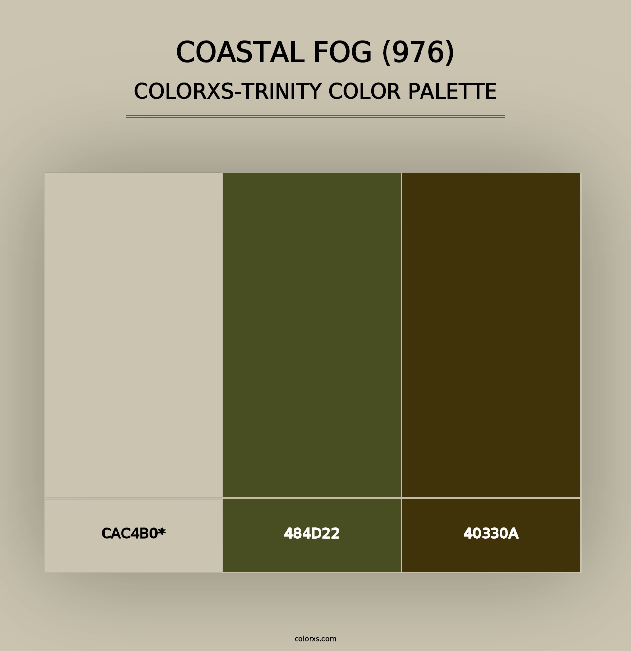 Coastal Fog (976) - Colorxs Trinity Palette