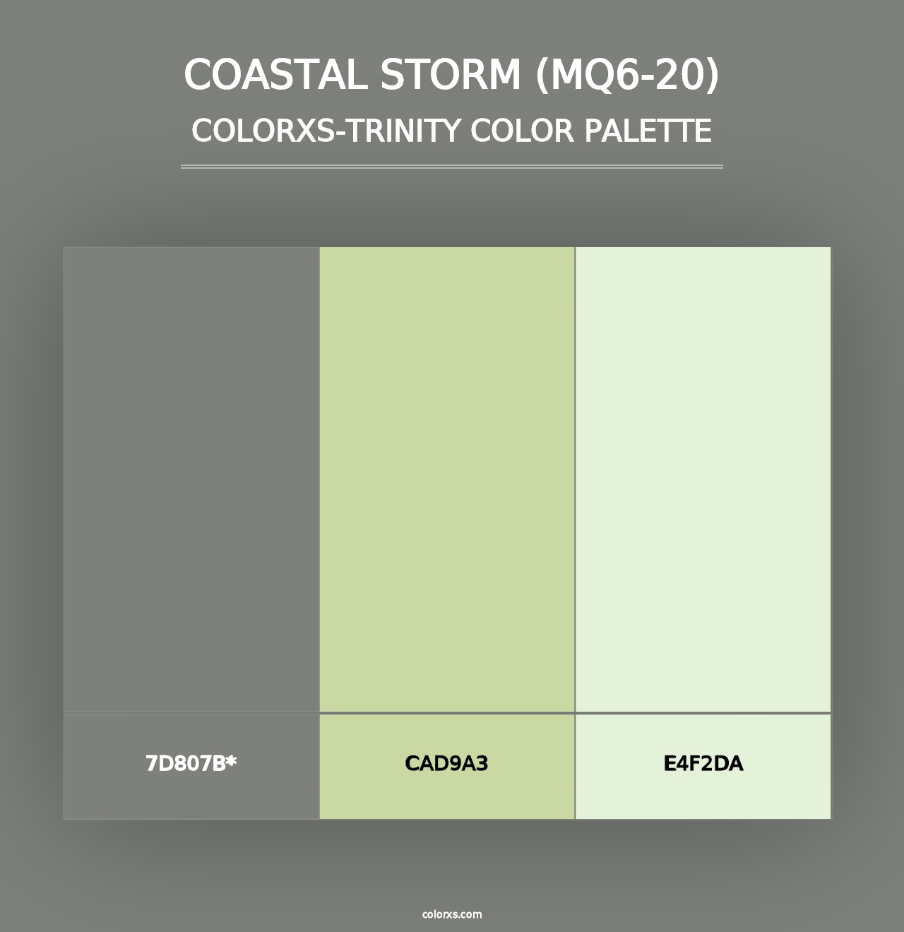 Coastal Storm (MQ6-20) - Colorxs Trinity Palette