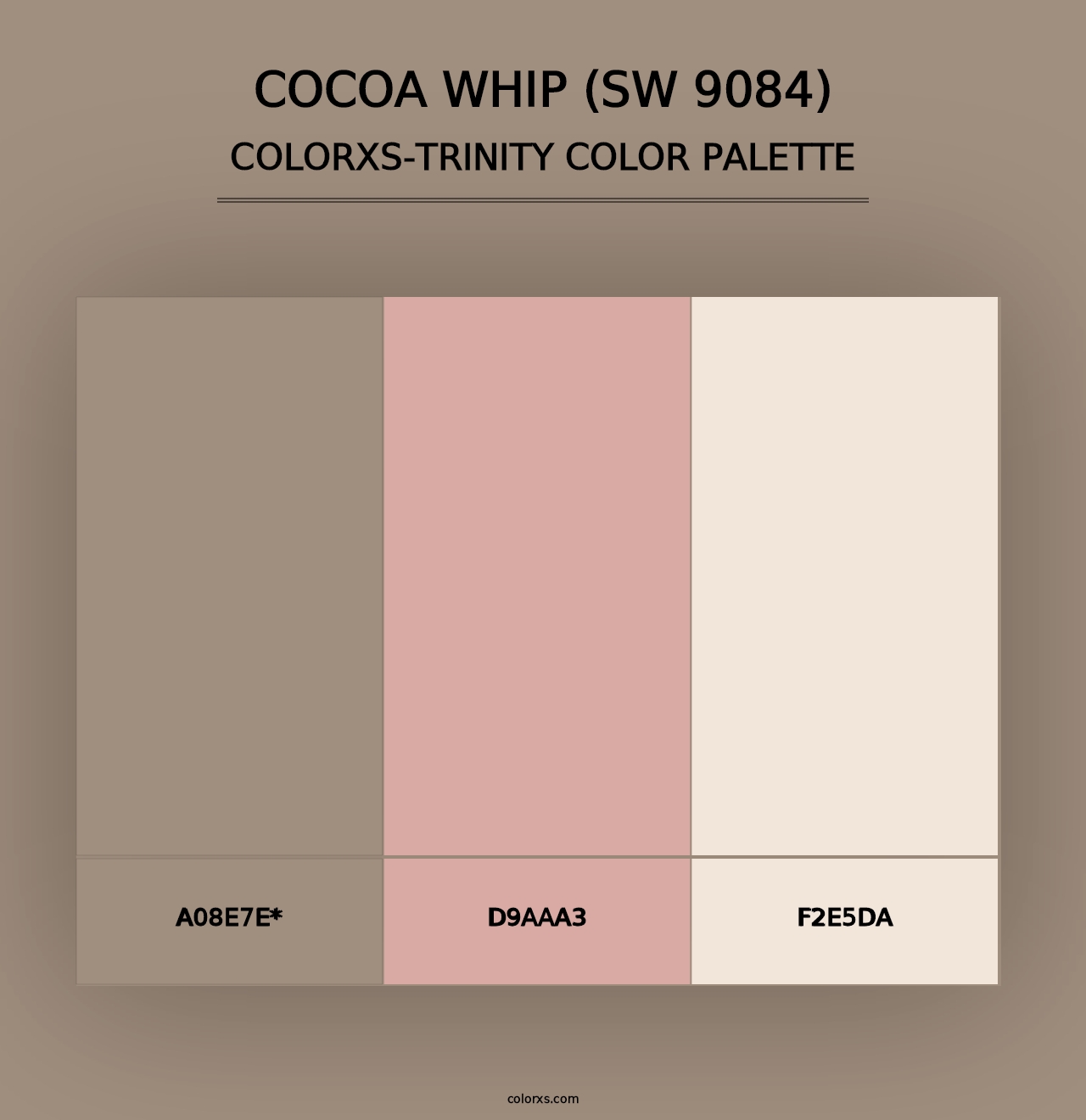 Cocoa Whip (SW 9084) - Colorxs Trinity Palette