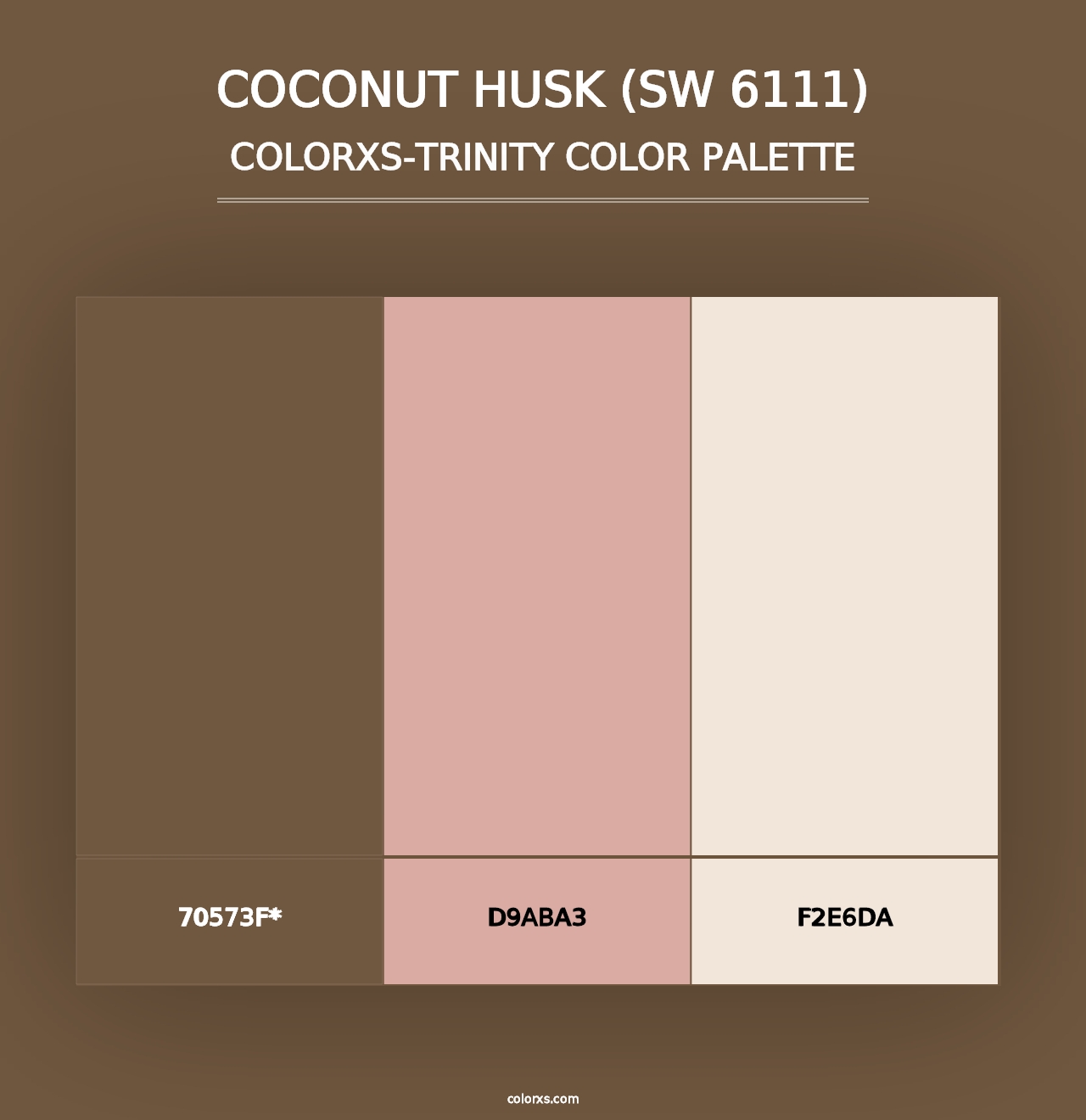 Coconut Husk (SW 6111) - Colorxs Trinity Palette