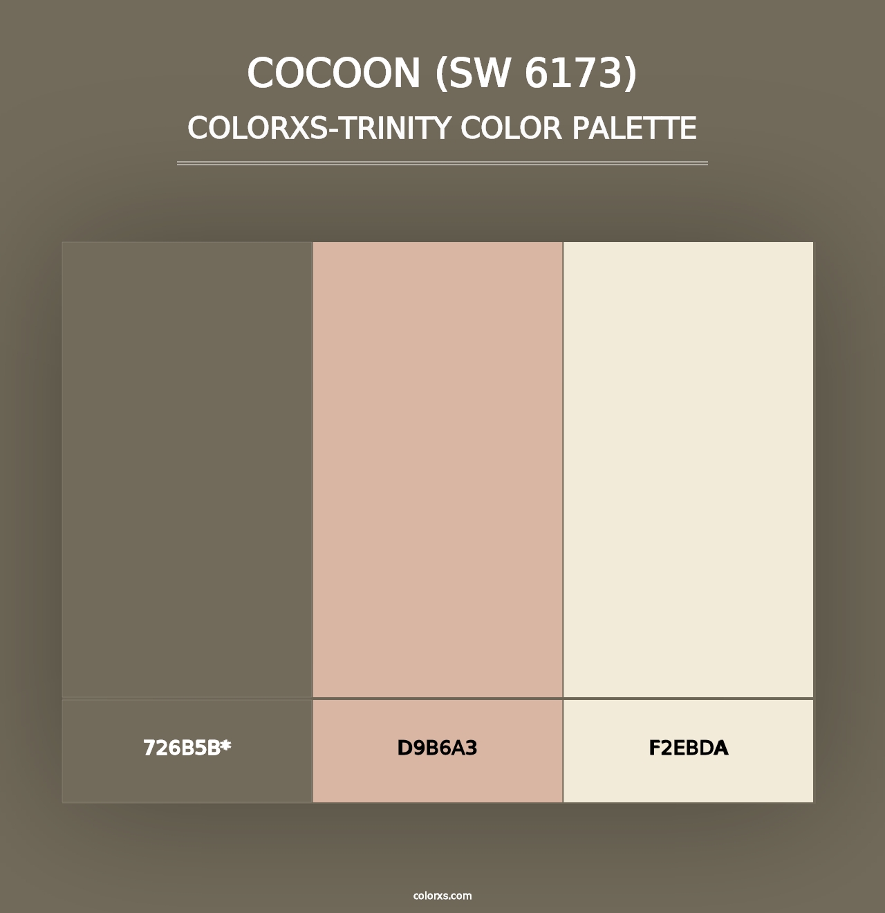 Cocoon (SW 6173) - Colorxs Trinity Palette