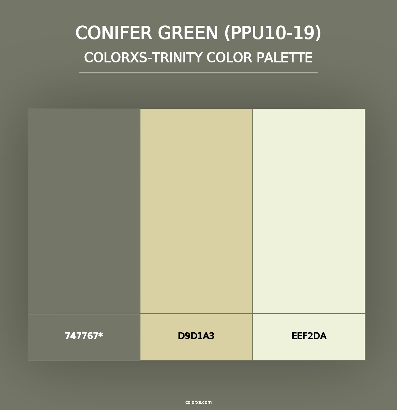 Conifer Green (PPU10-19) - Colorxs Trinity Palette