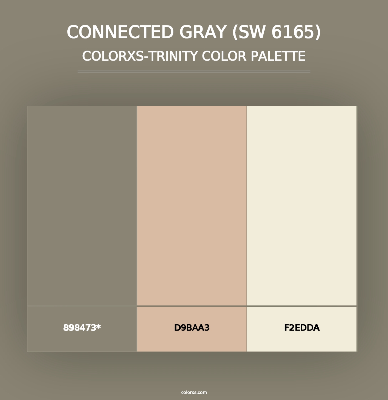 Connected Gray (SW 6165) - Colorxs Trinity Palette