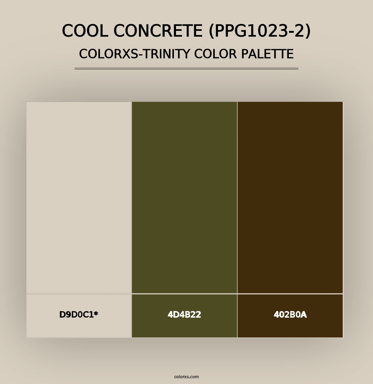 Cool Concrete (PPG1023-2) - Colorxs Trinity Palette