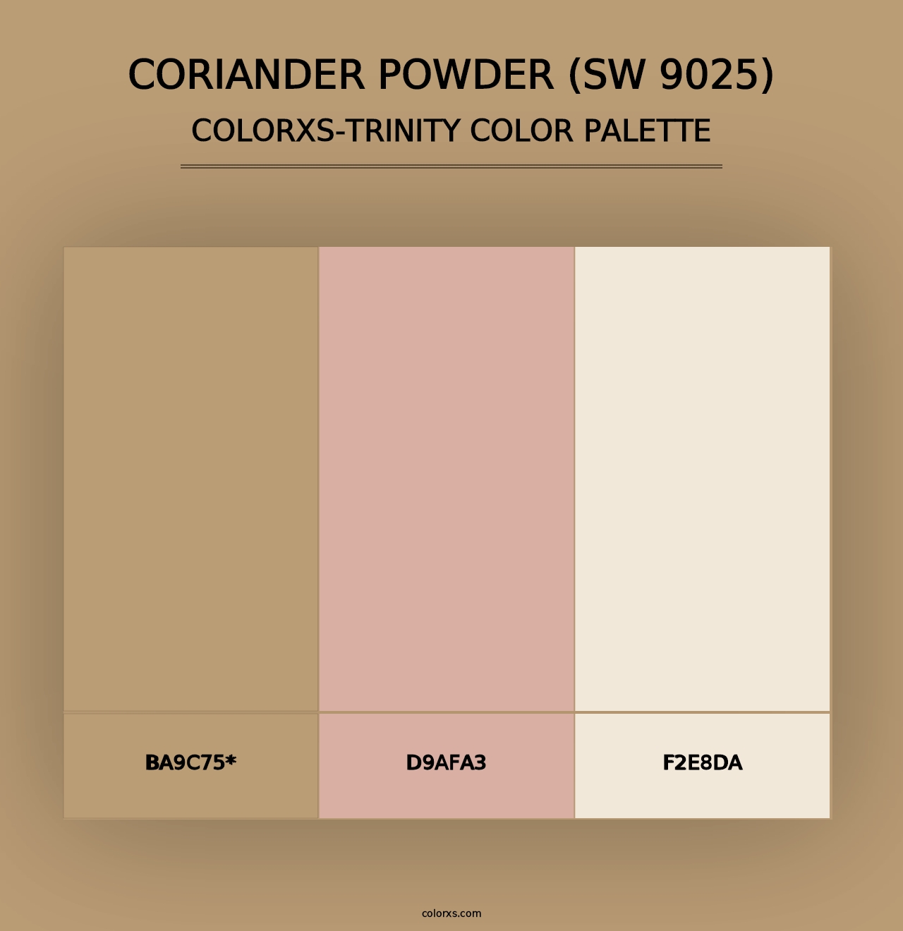 Coriander Powder (SW 9025) - Colorxs Trinity Palette