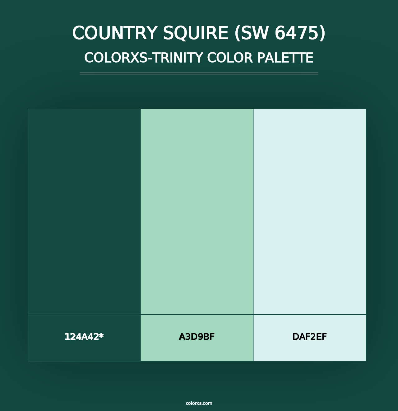 Country Squire (SW 6475) - Colorxs Trinity Palette