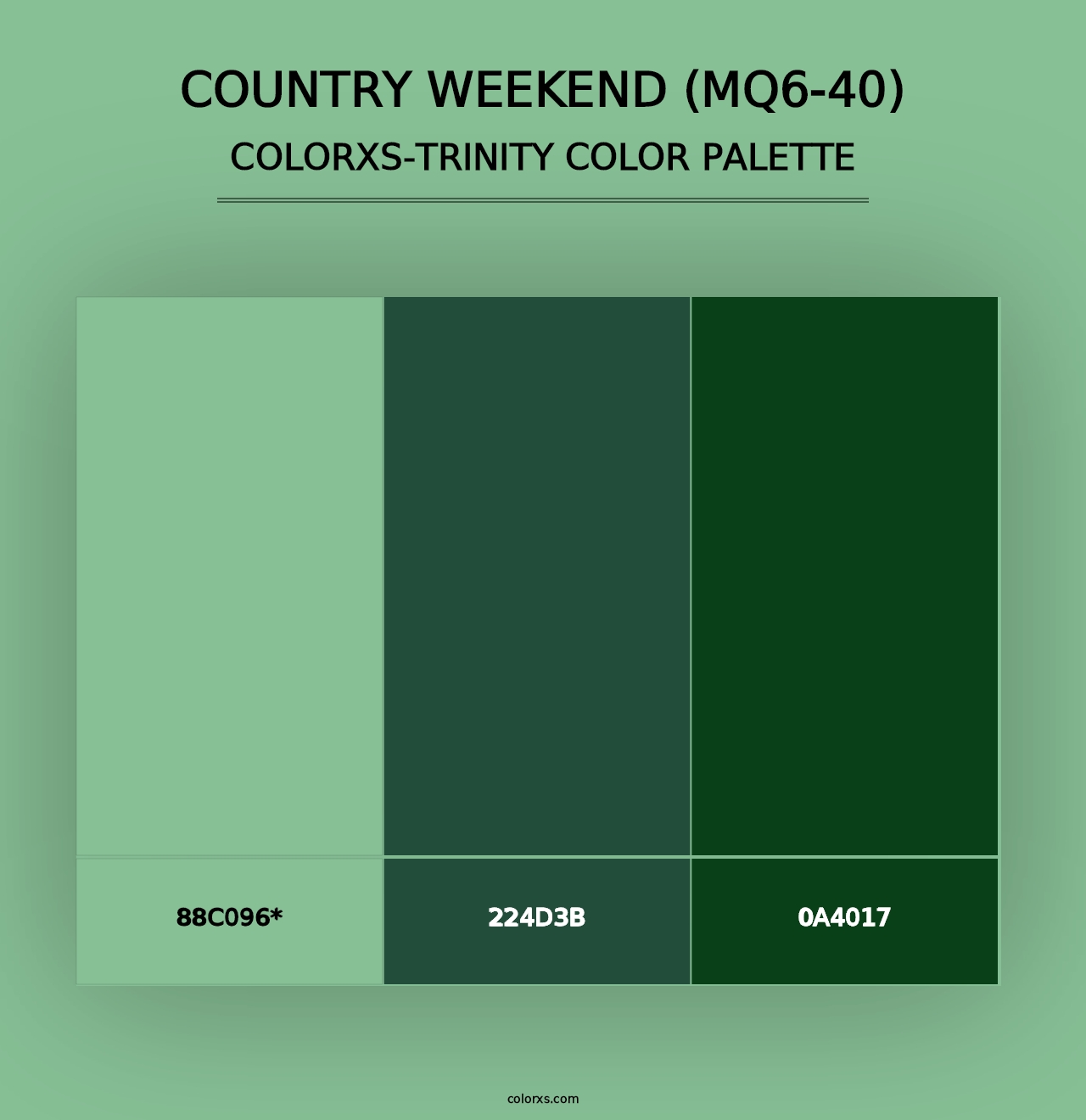 Country Weekend (MQ6-40) - Colorxs Trinity Palette