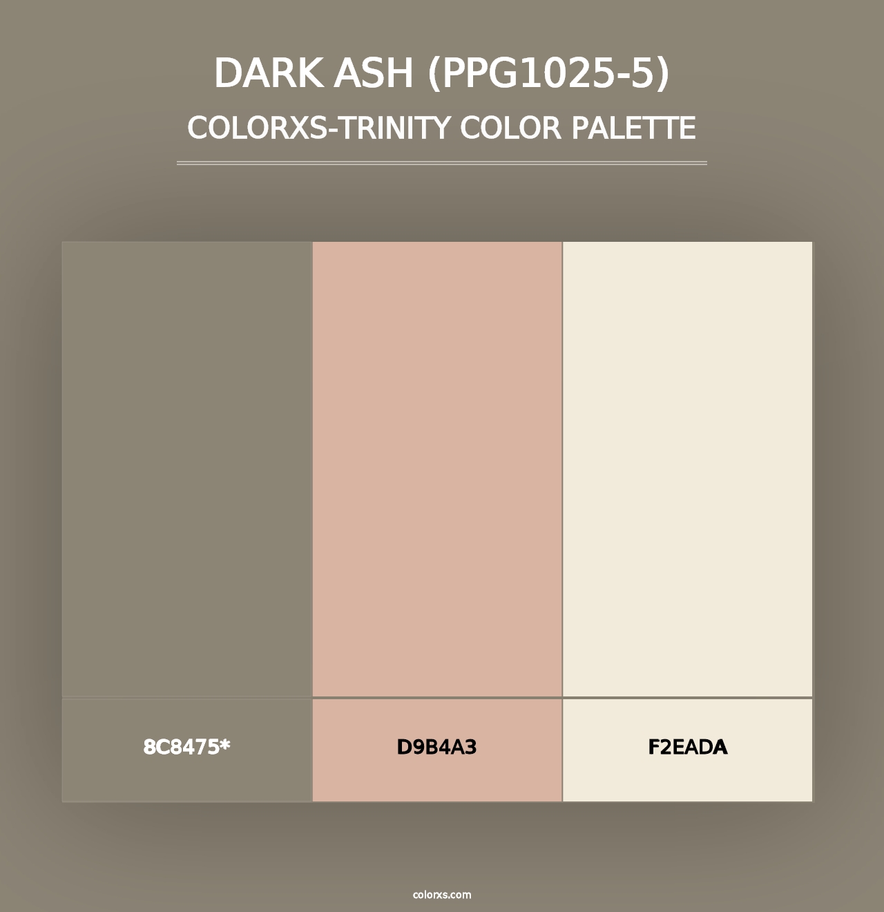 Dark Ash (PPG1025-5) - Colorxs Trinity Palette