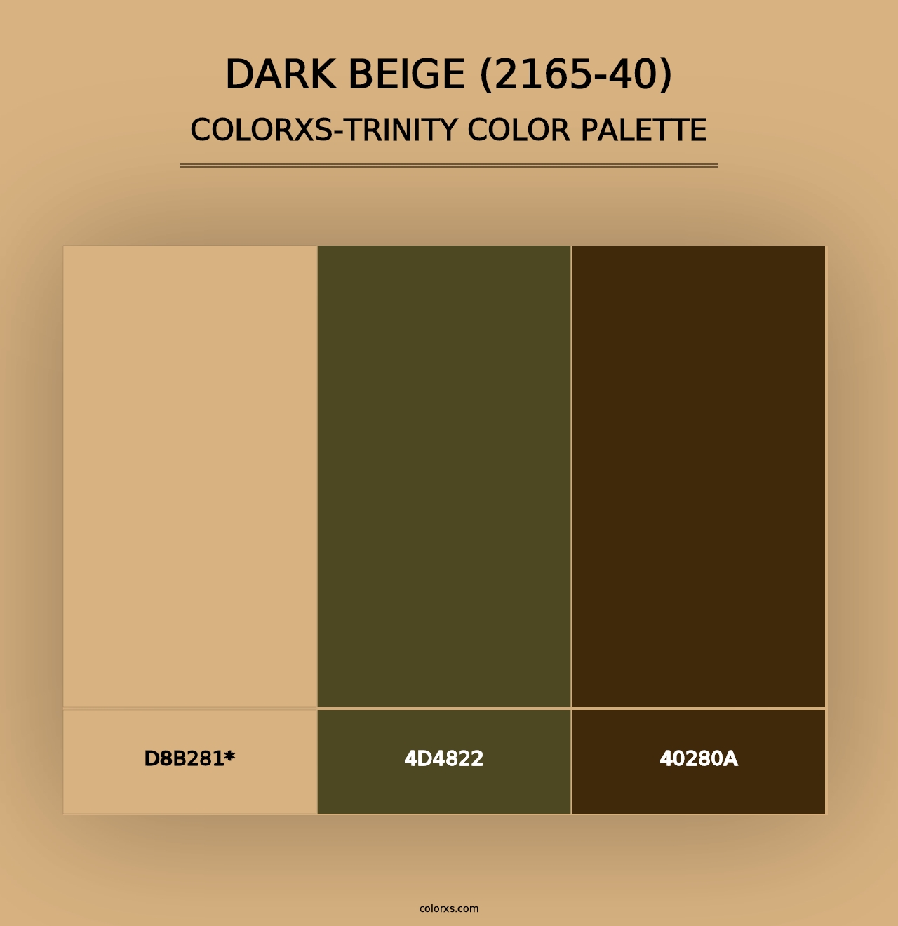 Dark Beige (2165-40) - Colorxs Trinity Palette