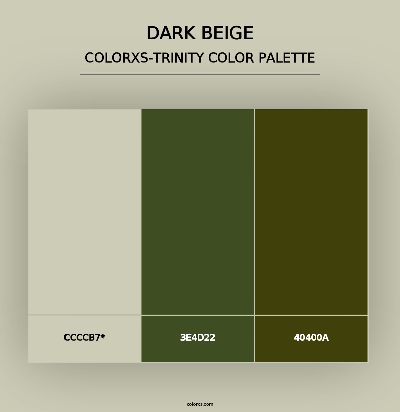 Dark Beige - Colorxs Trinity Palette