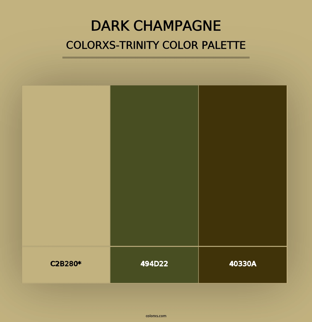 Dark Champagne - Colorxs Trinity Palette