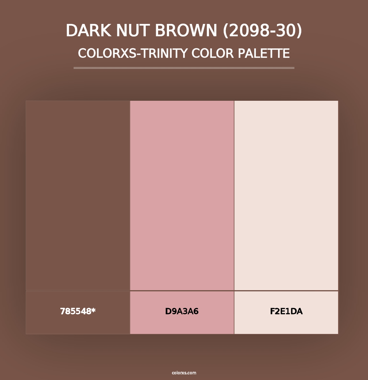 Dark Nut Brown (2098-30) - Colorxs Trinity Palette