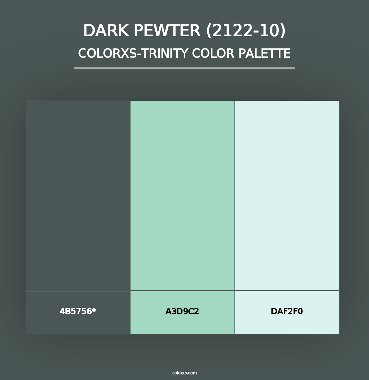 Dark Pewter (2122-10) - Colorxs Trinity Palette