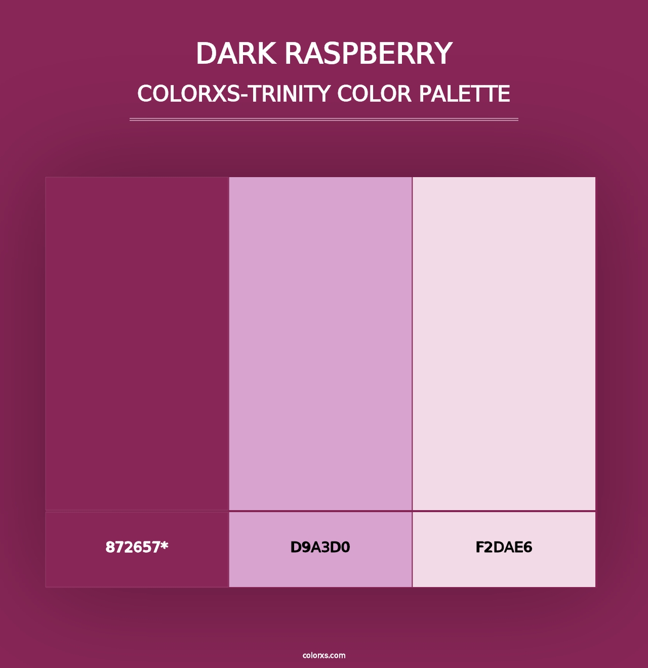 Dark Raspberry - Colorxs Trinity Palette