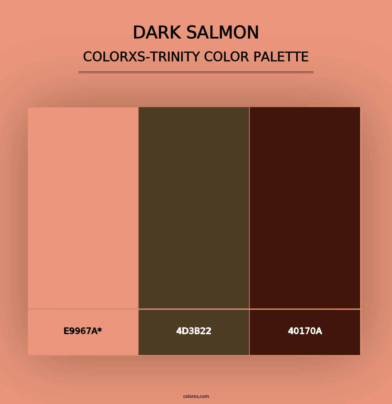 Dark Salmon - Colorxs Trinity Palette