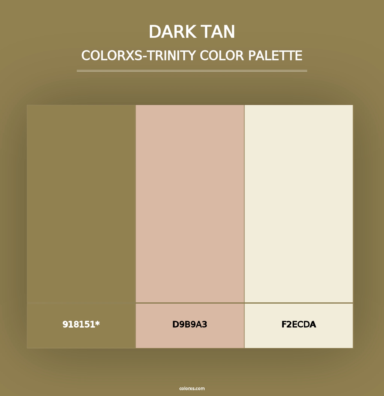 Dark Tan - Colorxs Trinity Palette