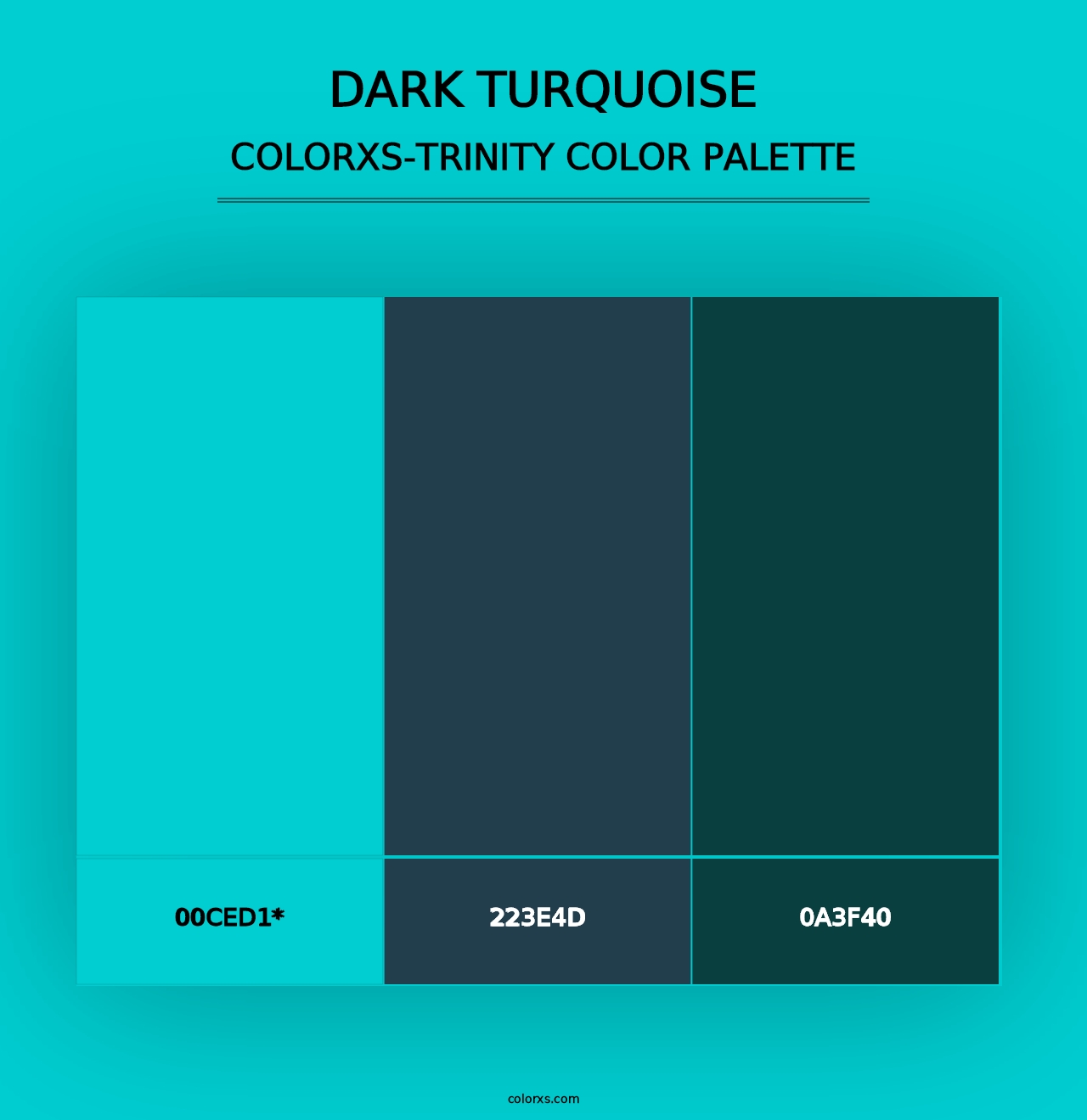 Dark Turquoise - Colorxs Trinity Palette