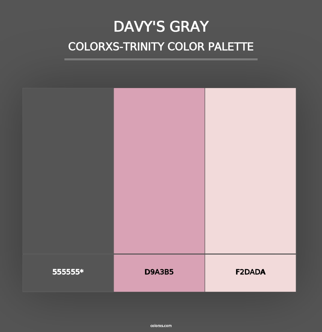 Davy's gray - Colorxs Trinity Palette