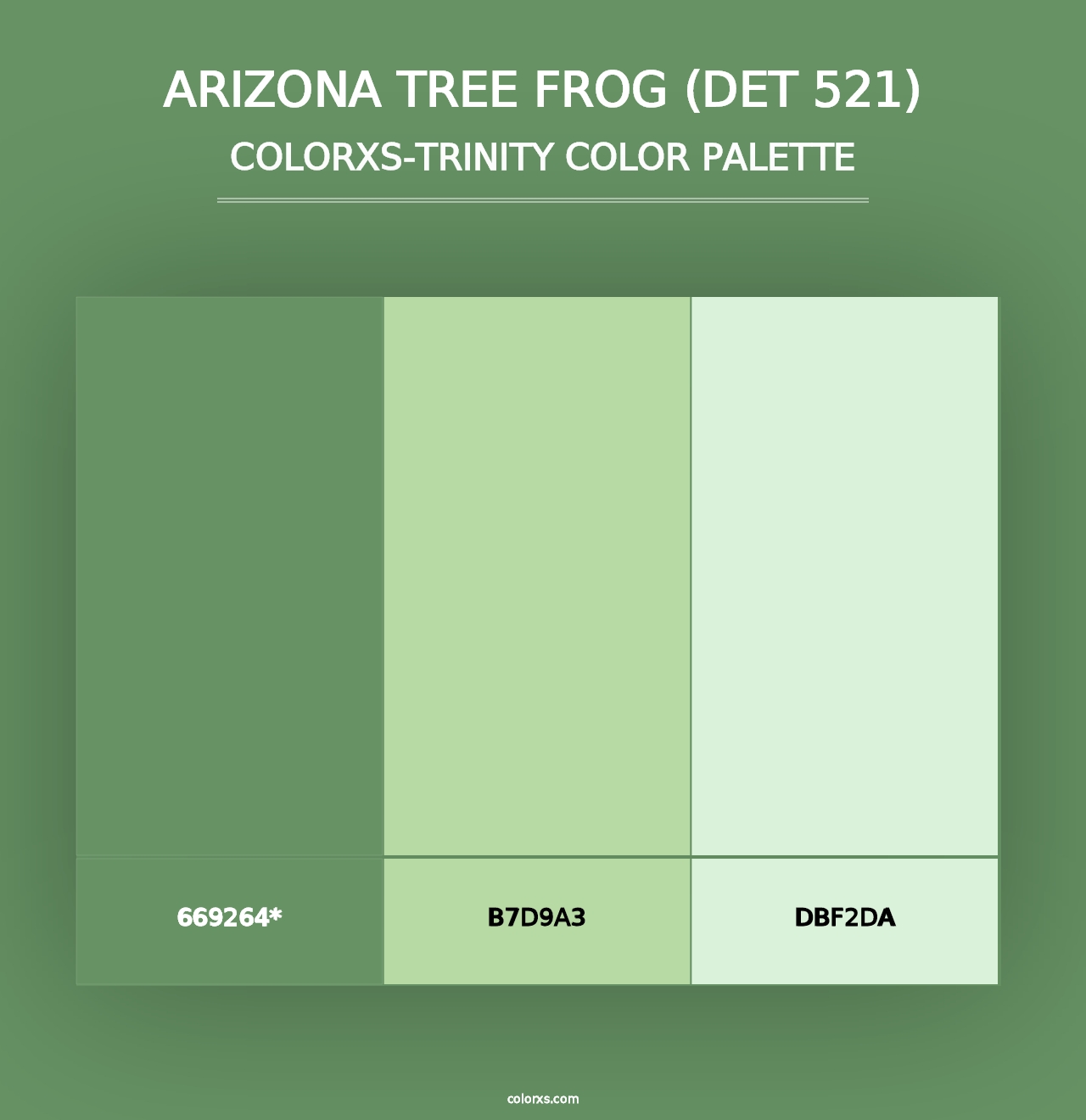 Arizona Tree Frog (DET 521) - Colorxs Trinity Palette