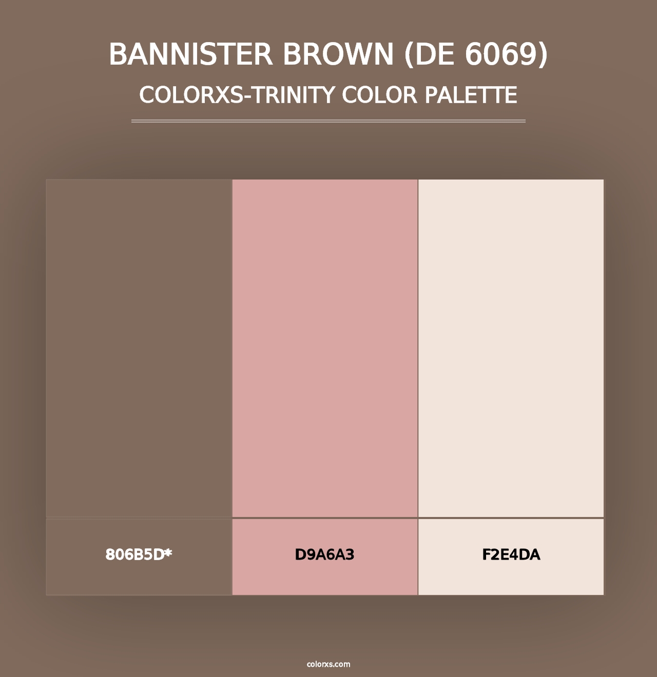 Bannister Brown (DE 6069) - Colorxs Trinity Palette