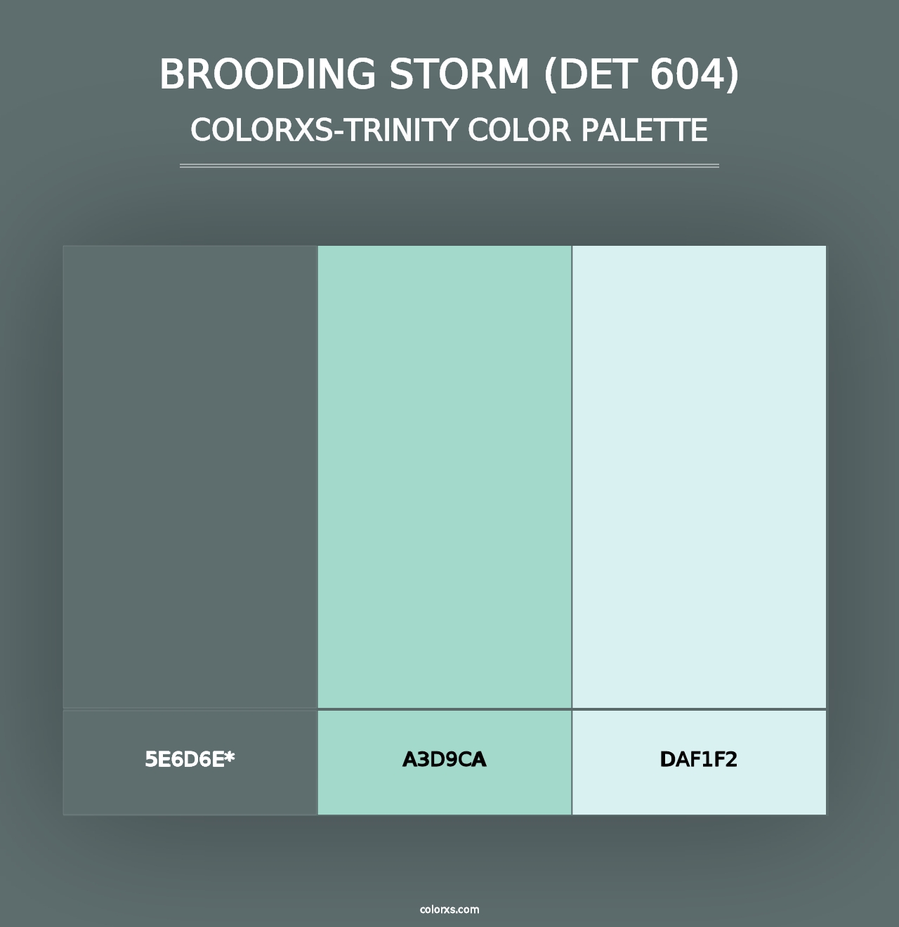 Brooding Storm (DET 604) - Colorxs Trinity Palette