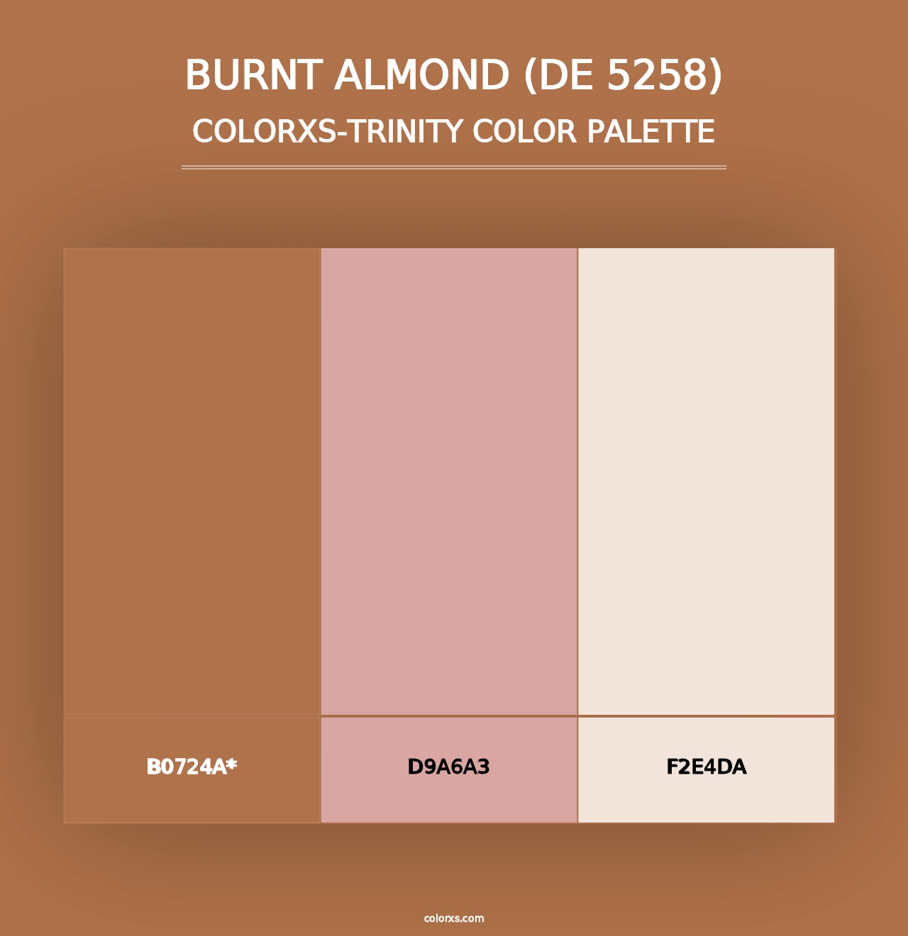 Burnt Almond (DE 5258) - Colorxs Trinity Palette