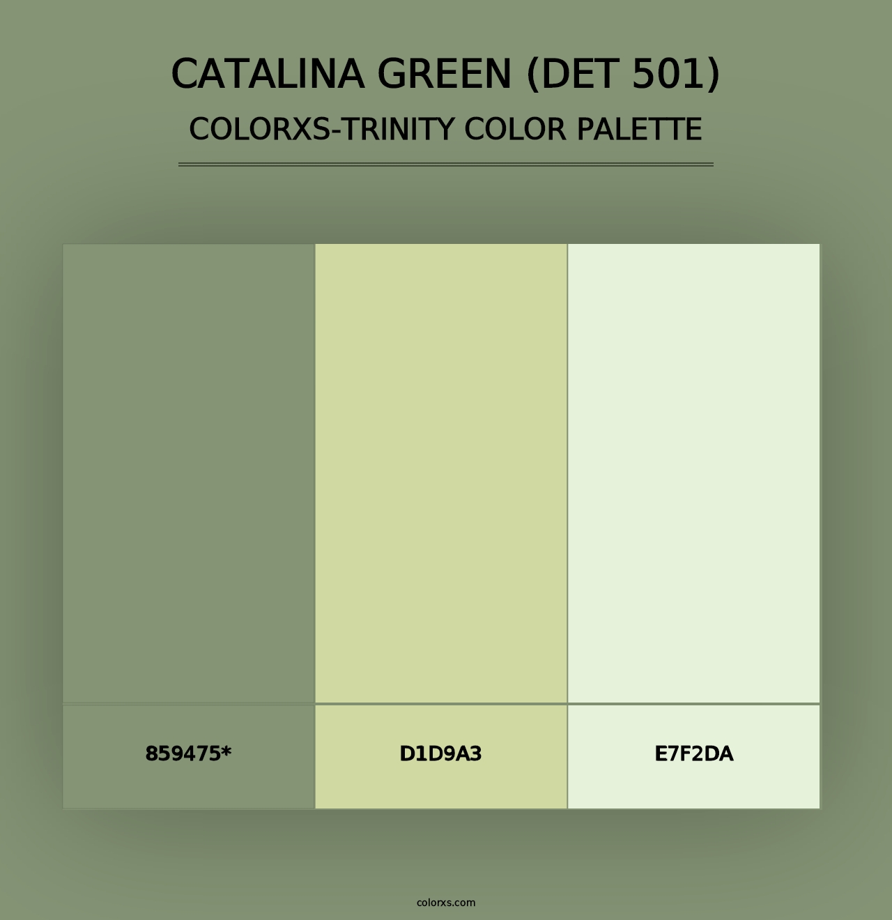 Catalina Green (DET 501) - Colorxs Trinity Palette