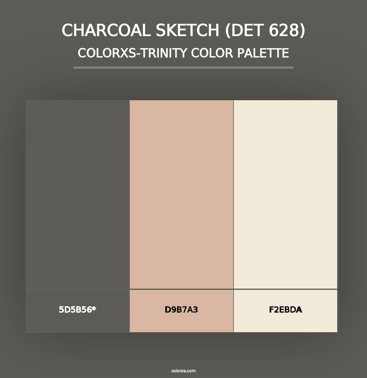 Charcoal Sketch (DET 628) - Colorxs Trinity Palette