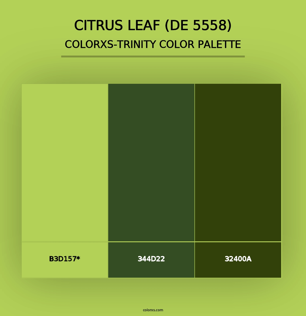 Citrus Leaf (DE 5558) - Colorxs Trinity Palette