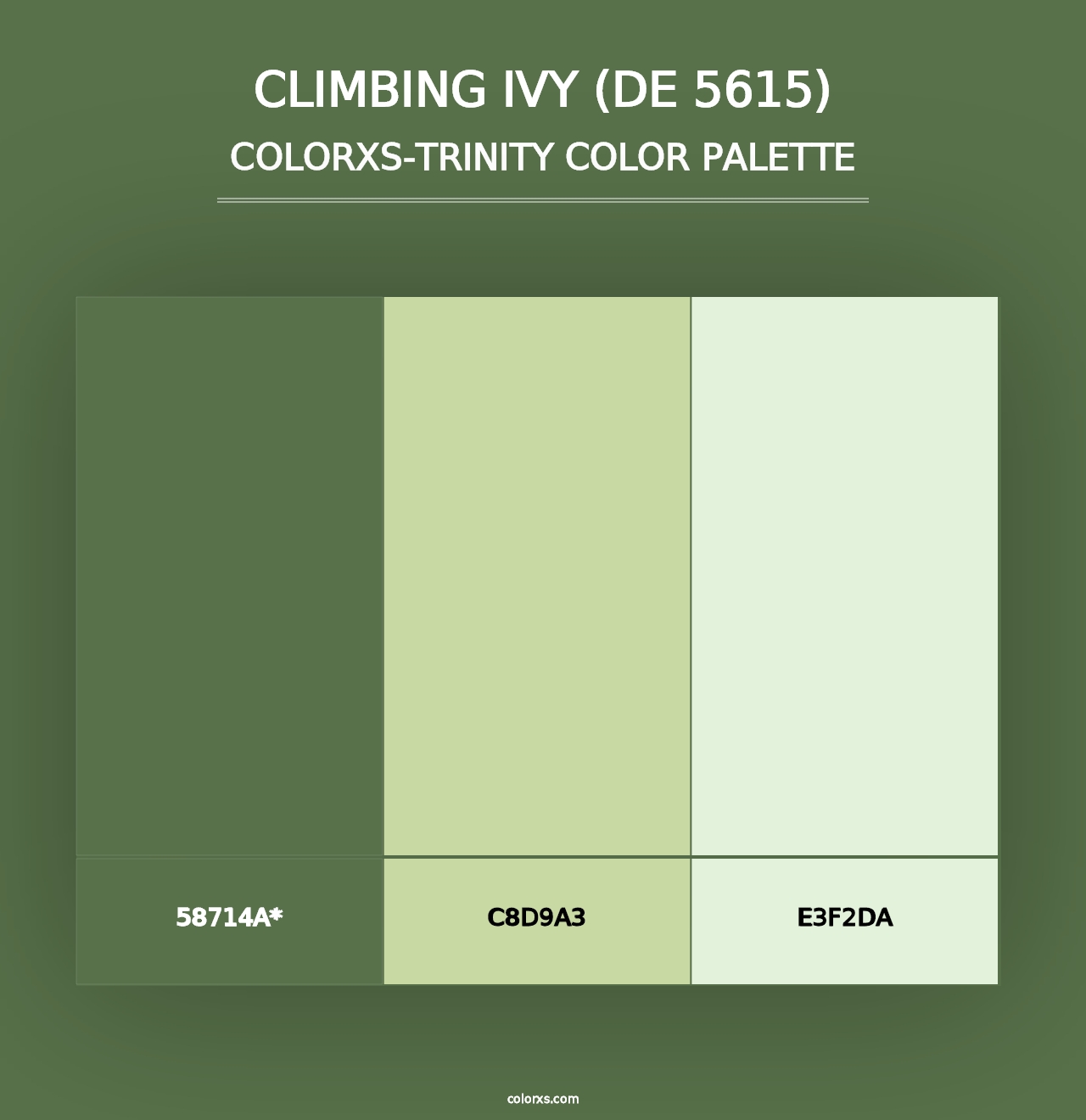 Climbing Ivy (DE 5615) - Colorxs Trinity Palette