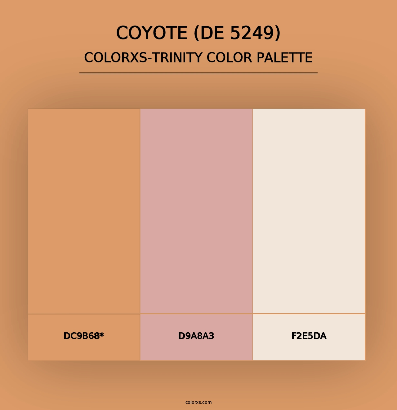 Coyote (DE 5249) - Colorxs Trinity Palette