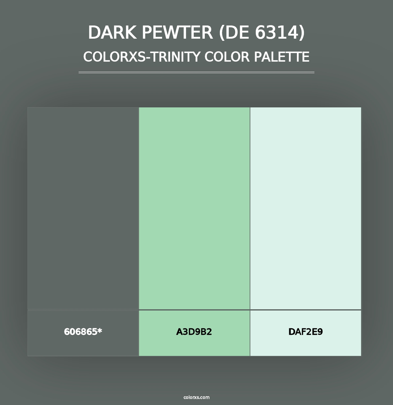 Dark Pewter (DE 6314) - Colorxs Trinity Palette