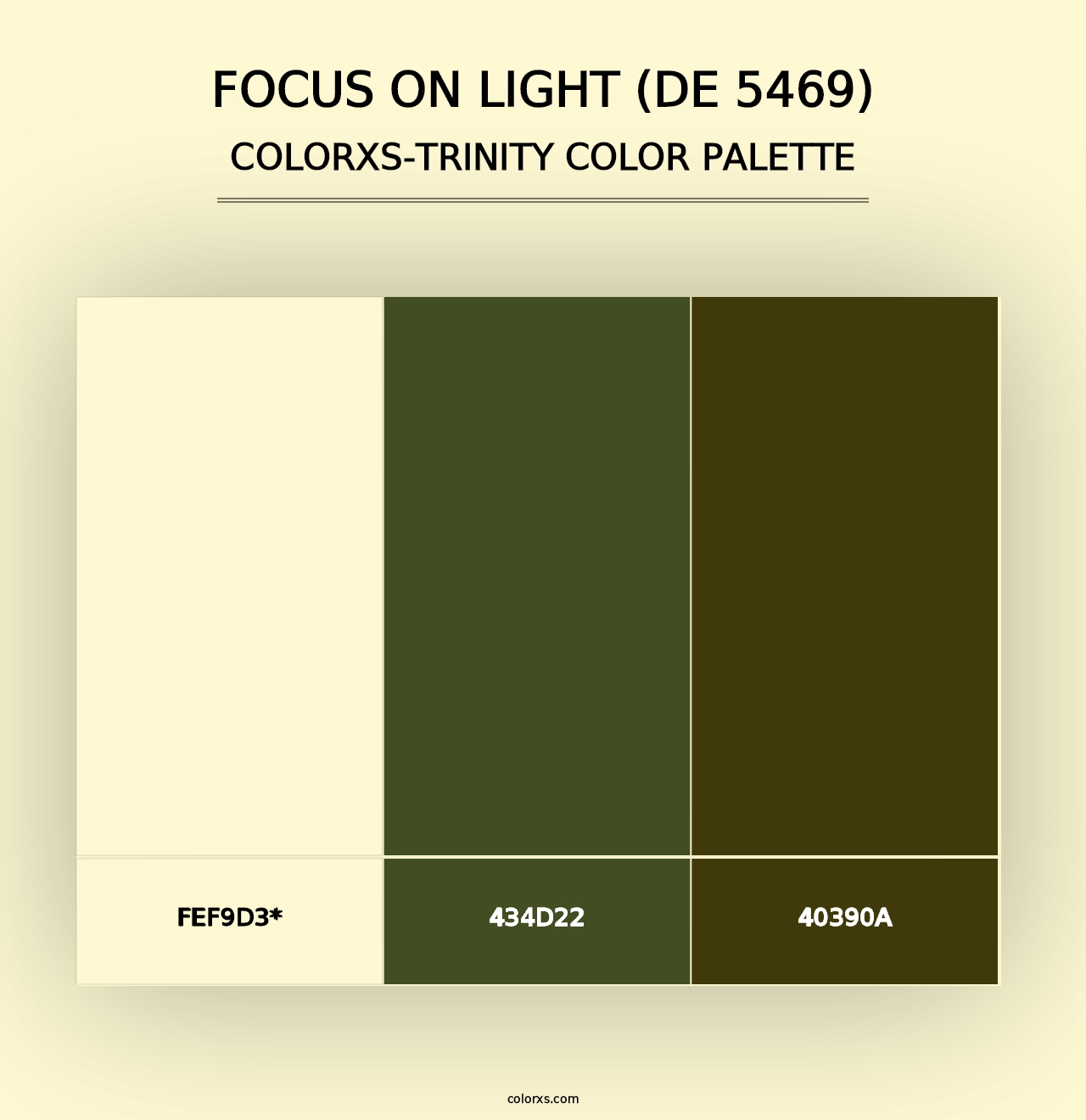 Focus on Light (DE 5469) - Colorxs Trinity Palette