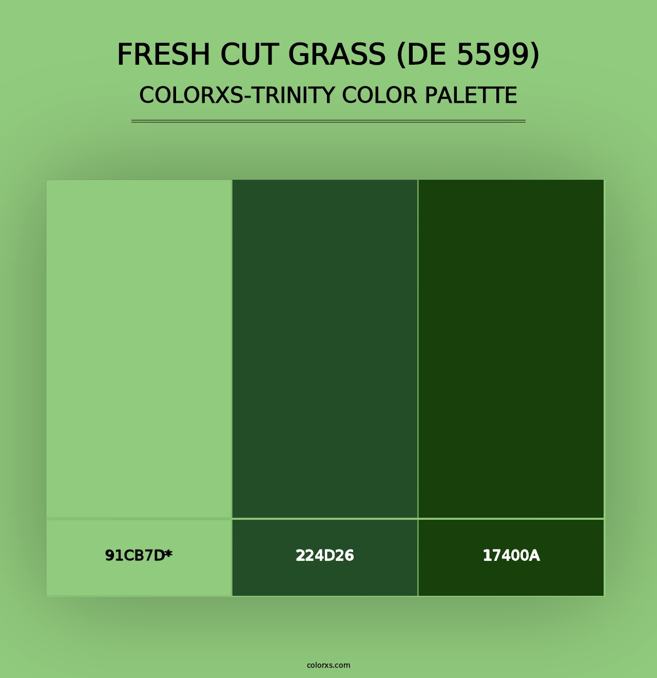 Fresh Cut Grass (DE 5599) - Colorxs Trinity Palette