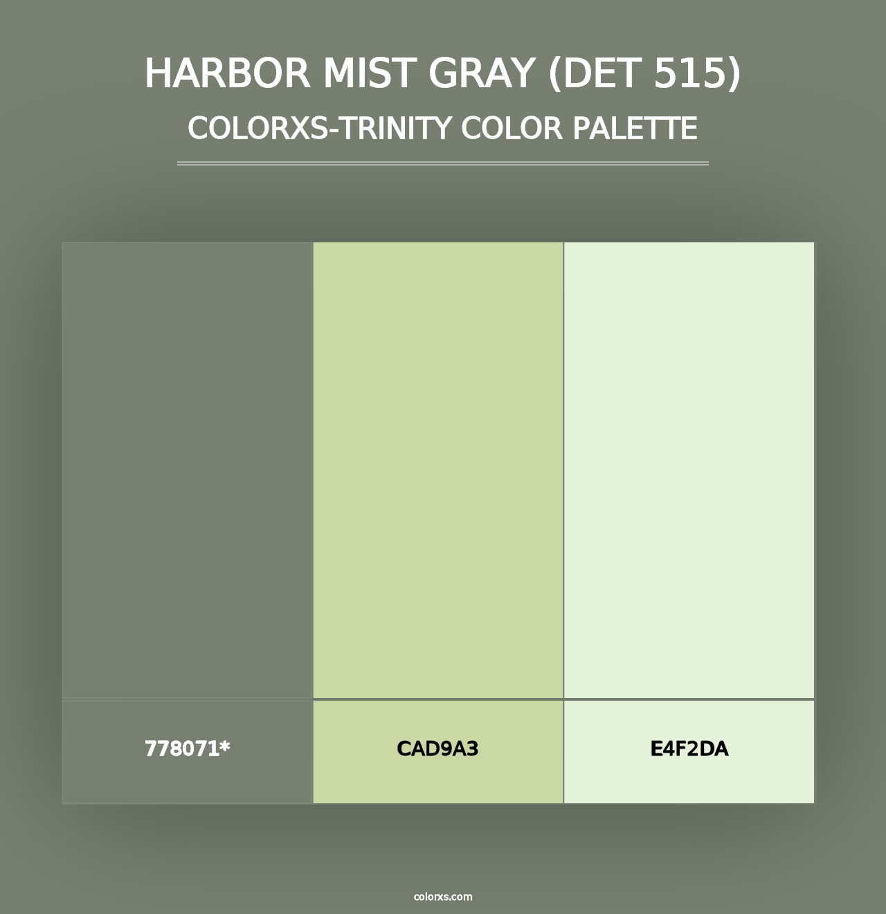 Harbor Mist Gray (DET 515) - Colorxs Trinity Palette