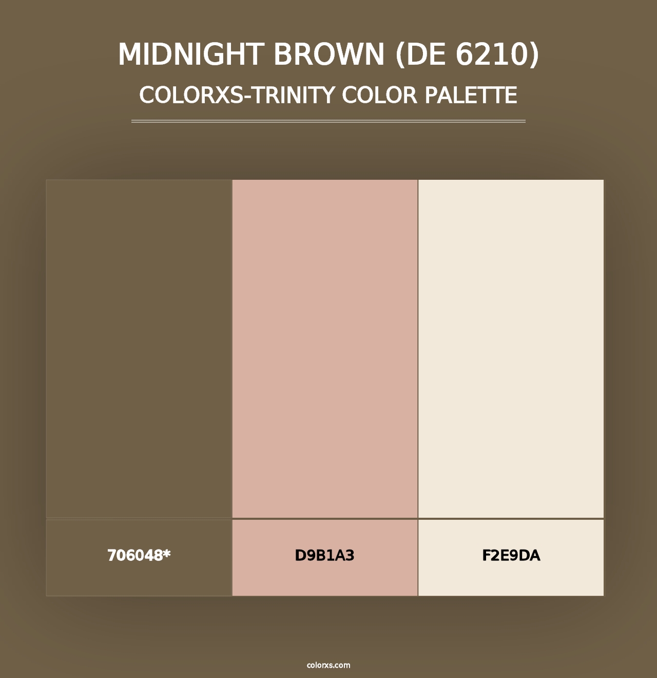 Midnight Brown (DE 6210) - Colorxs Trinity Palette