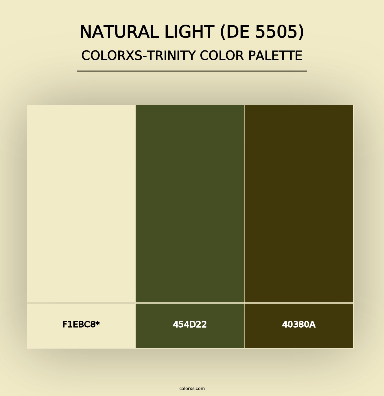 Natural Light (DE 5505) - Colorxs Trinity Palette