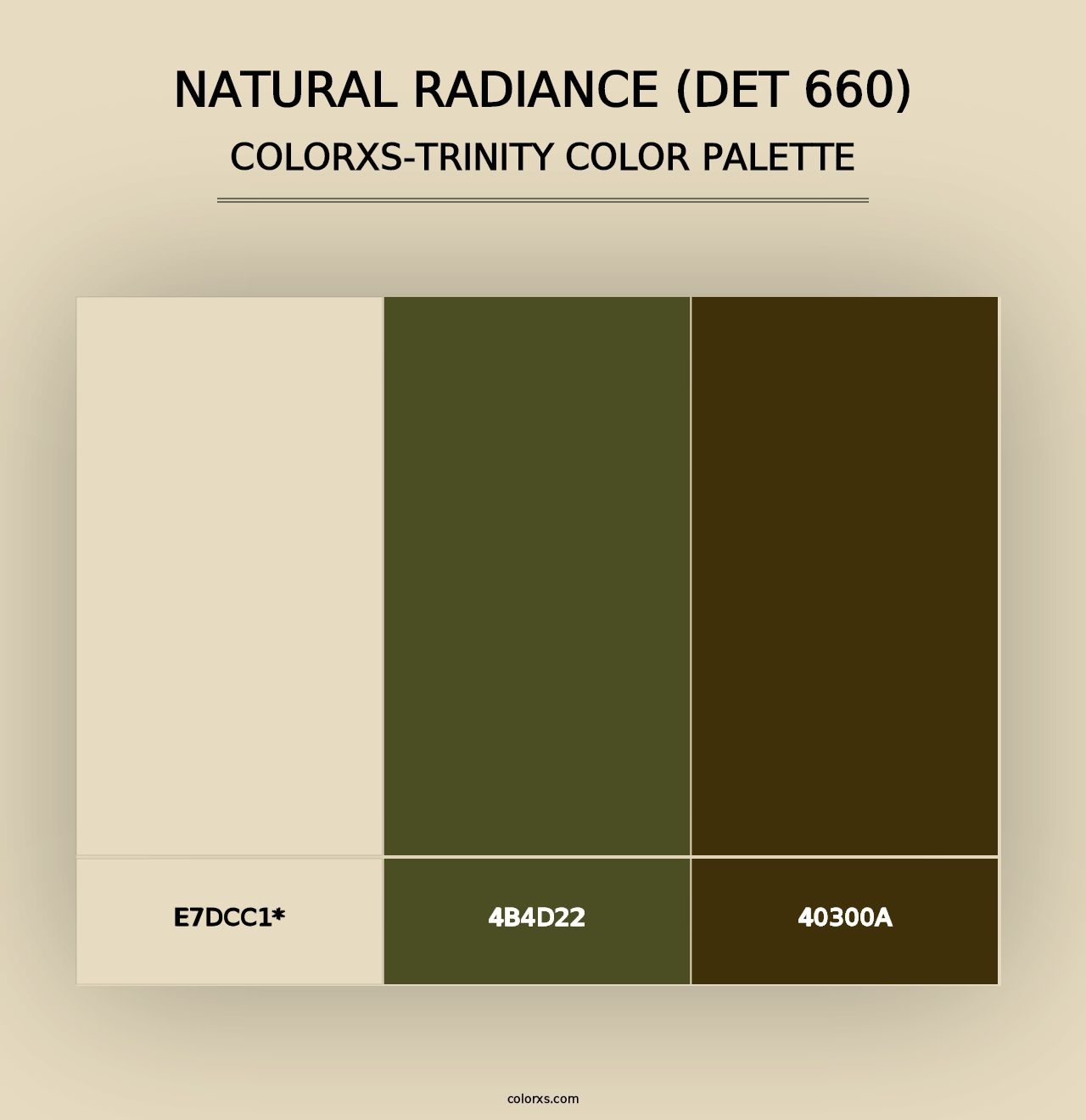 Natural Radiance (DET 660) - Colorxs Trinity Palette