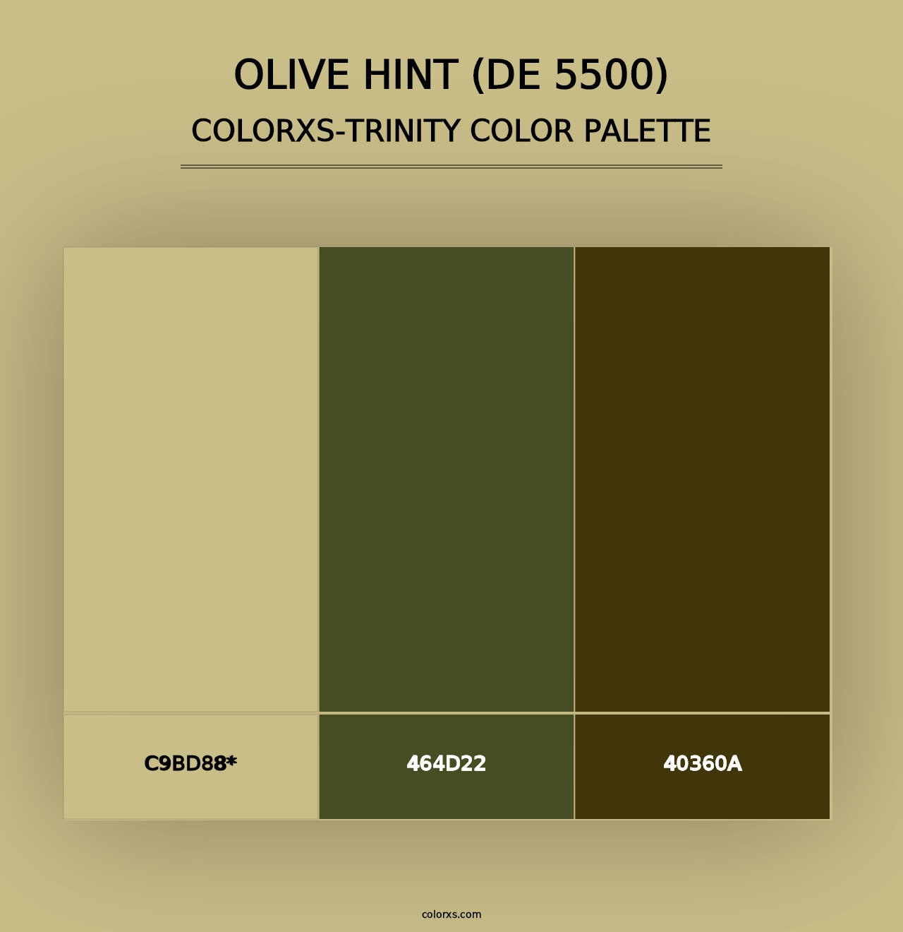 Olive Hint (DE 5500) - Colorxs Trinity Palette