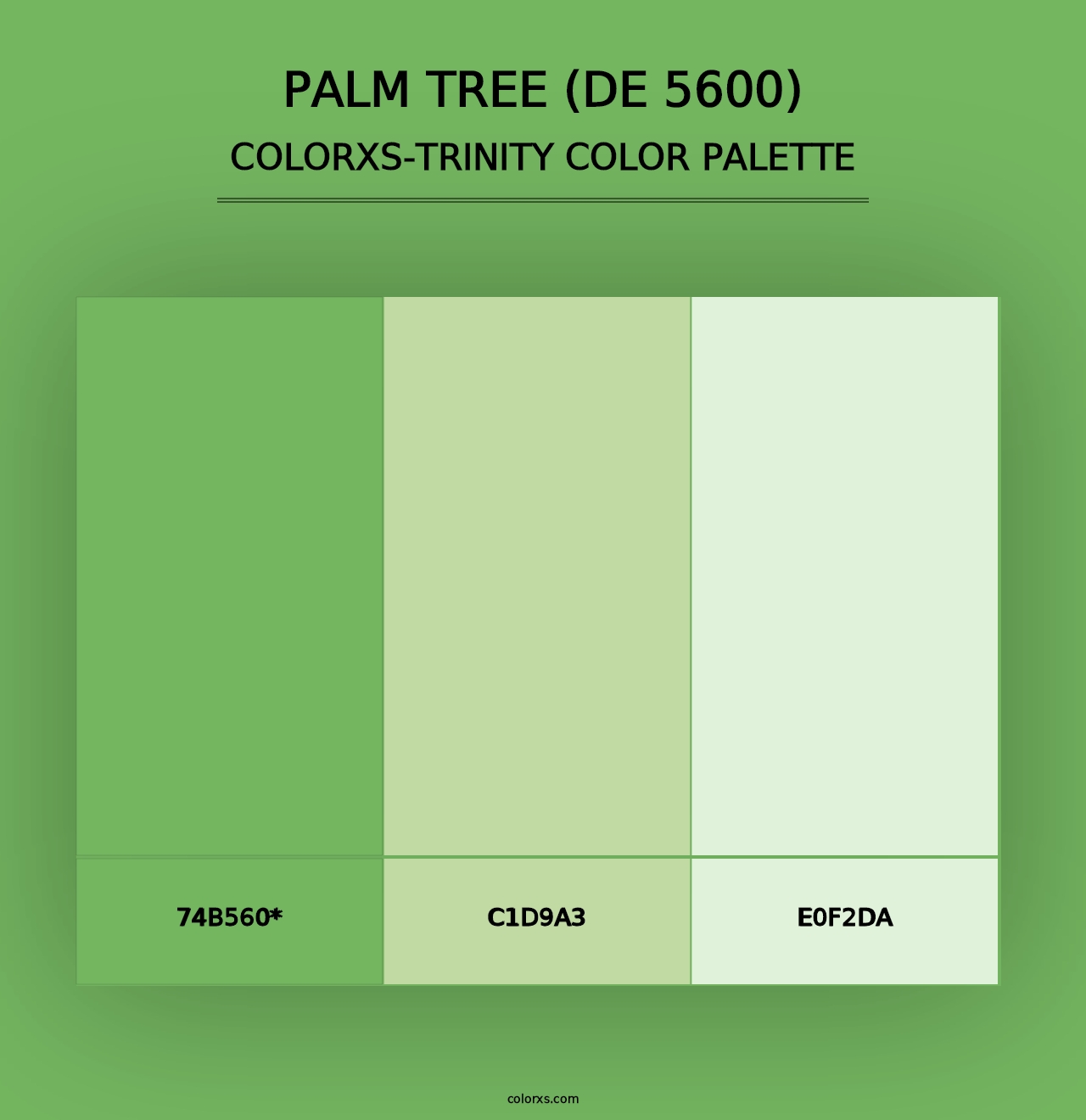 Palm Tree (DE 5600) - Colorxs Trinity Palette