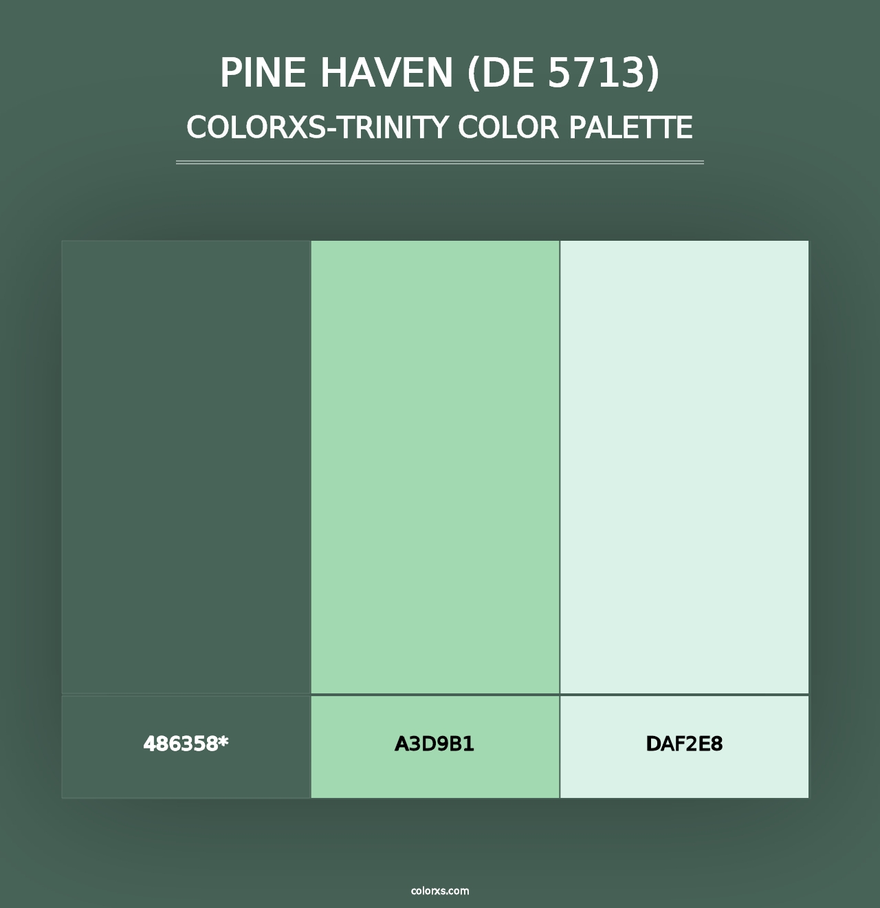 Pine Haven (DE 5713) - Colorxs Trinity Palette