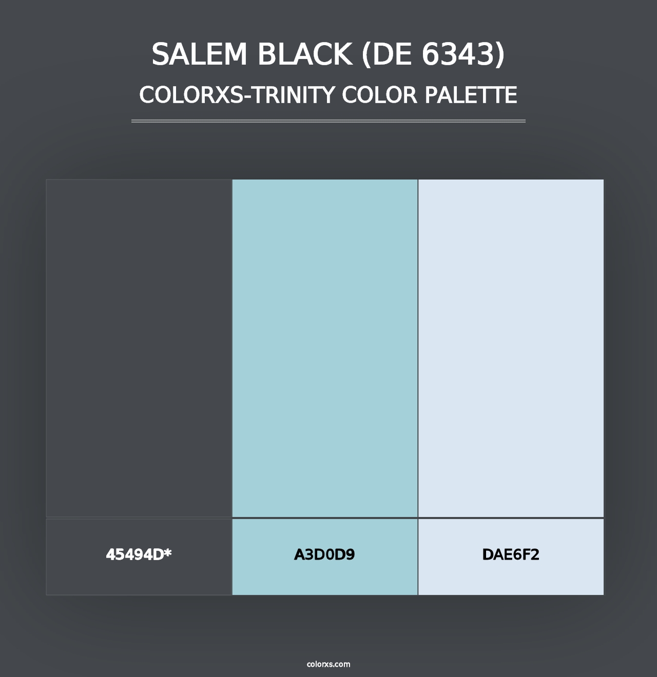 Salem Black (DE 6343) - Colorxs Trinity Palette