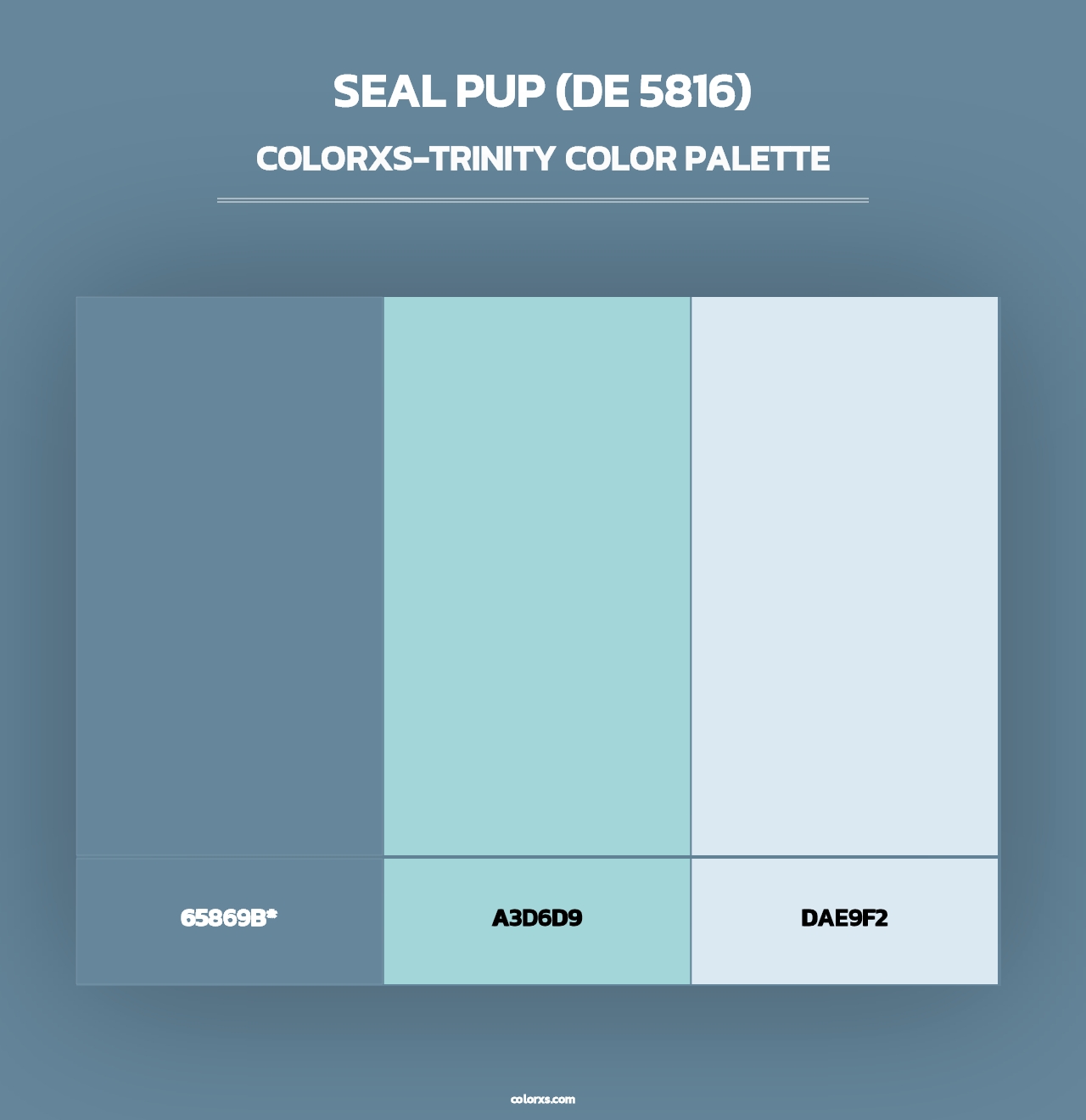 Seal Pup (DE 5816) - Colorxs Trinity Palette